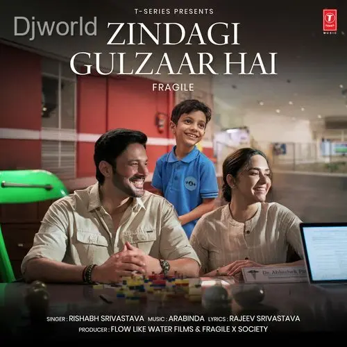 Zindagi Gulzaar Hai album art