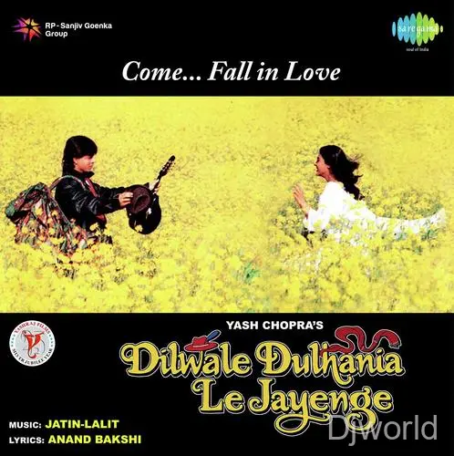 Dilwale Dulhania Le Jayenge album cover
